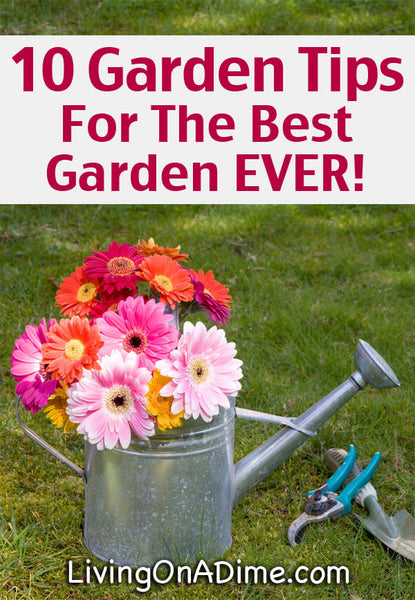 Here are 10 garden tips and ideas sure to give you the best garden ever! Check out our tips for easy composting, cheap and natural weed killer, organizing your garden shed, free seed starting containers and much more!